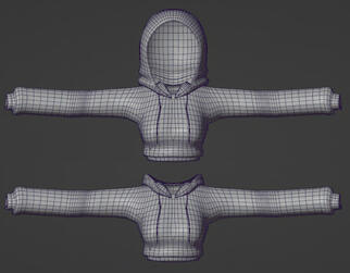a croptop sweater I never released a croptop sweater I never released