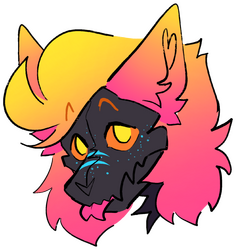 OC headshot